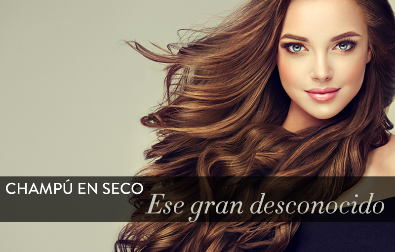 champu en seco