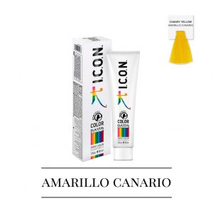 icon colores fantasia